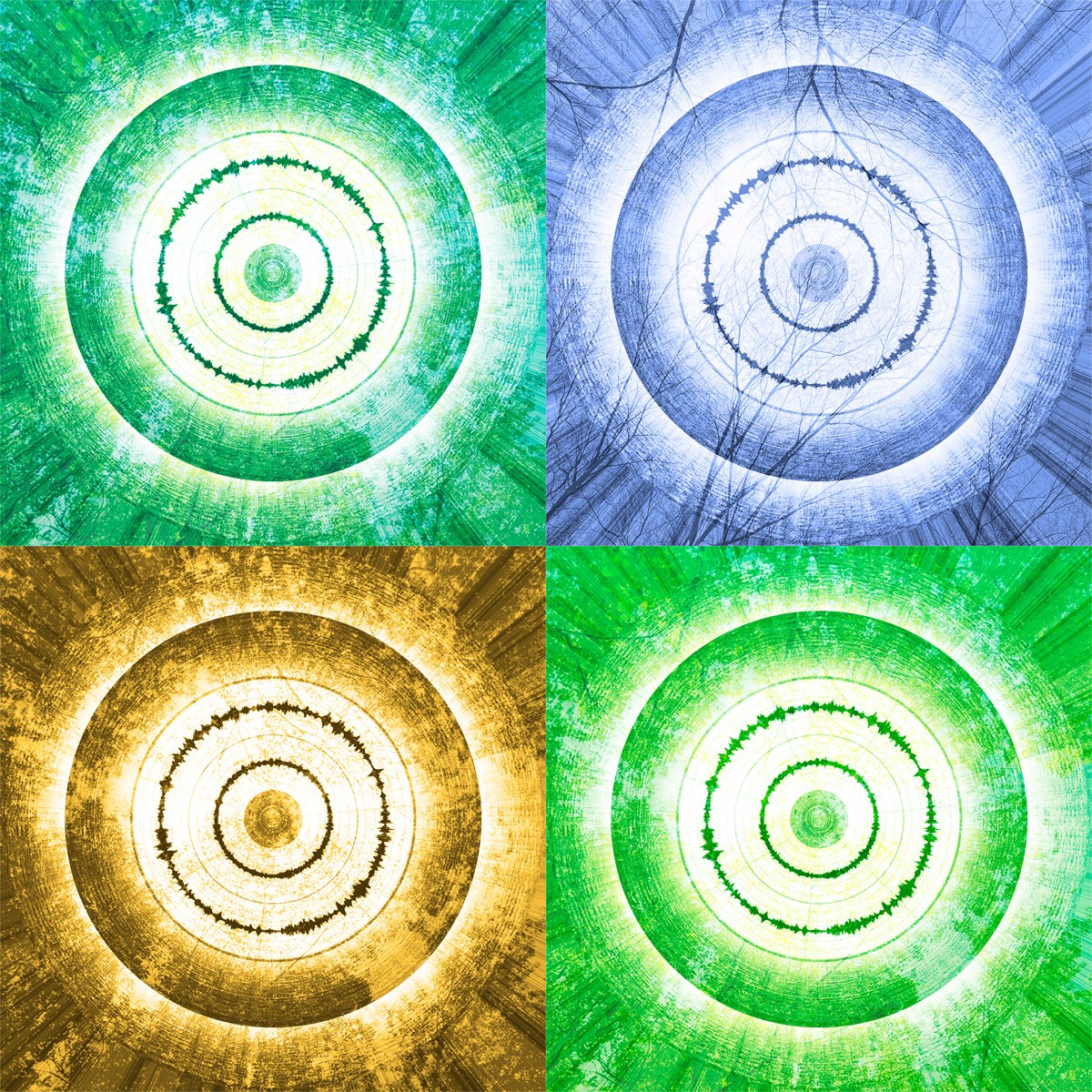 attas4.jpg